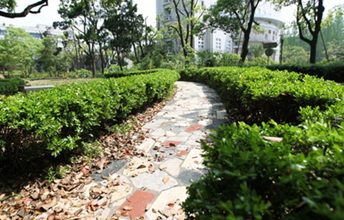 大理師范高等?？茖W(xué)校附屬中學(xué)