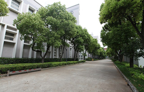 勐臘縣勐伴鎮(zhèn)中學
