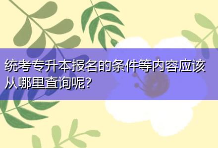 統(tǒng)考專升本報名的條件等內(nèi)容應(yīng)該從哪里查詢呢？
