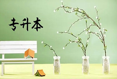 浙江音樂學院專升本音樂表演(流行演唱)專業(yè)詳情