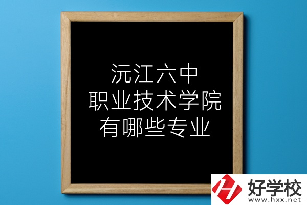 湖南沅江六中職業(yè)技術學院有哪些專業(yè)？