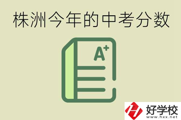 株洲今年中考多少分能上高中？沒考上有什么選擇？