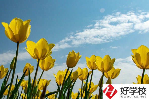 岳陽(yáng)有開(kāi)設(shè)工業(yè)機(jī)器人技術(shù)應(yīng)用專業(yè)的中職學(xué)校嗎？