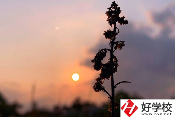 邵陽哈博職業(yè)中專學(xué)校好不好？有什么辦學(xué)特色？