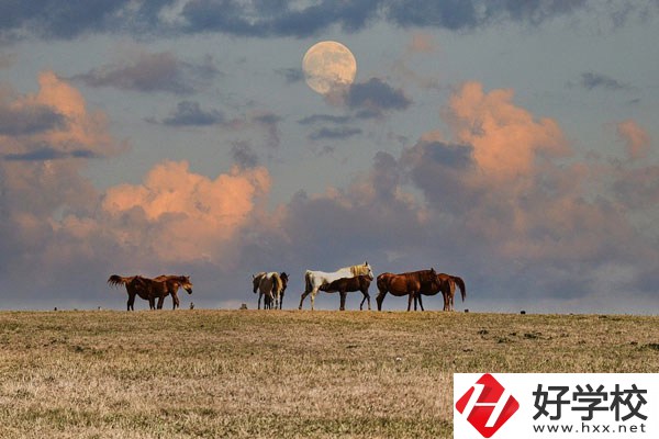 邵陽工業(yè)學校是公辦還是民辦？有什么優(yōu)勢？
