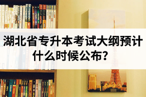湖北省專升本考試大綱預(yù)計(jì)什么時(shí)候公布？現(xiàn)階段怎么備考比較好？