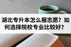 湖北省專升本怎么報志愿？如何選擇填報院校專業(yè)比較好？