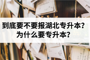 到底要不要報湖北專升本？為什么要專升本？