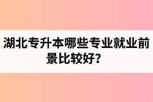 湖北專升本哪些專業(yè)就業(yè)前景比較好？