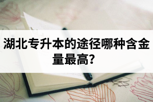 湖北普通專升本英譯漢段落翻譯分析應該怎么做？