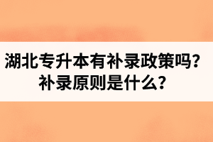 湖北專升本有補(bǔ)錄政策嗎？補(bǔ)錄原則是什么？