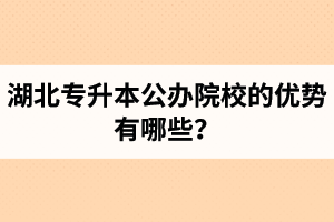 湖北專升本公辦院校的優(yōu)勢有哪些？為什么大家都想報公辦學(xué)校？