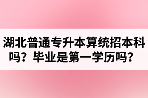 湖北普通專升本算統(tǒng)招本科嗎？專升本學歷是第一學歷嗎？