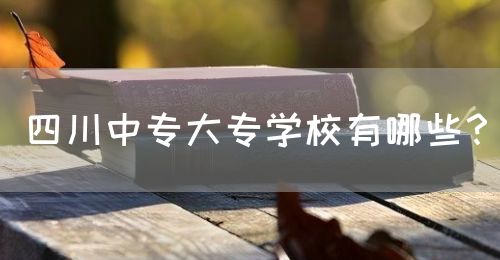 四川中專(zhuān)大專(zhuān)學(xué)校有哪些？(圖1)