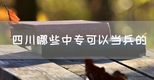 四川哪些中?？梢援?dāng)兵的(圖1)