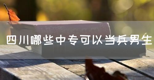 四川哪些中?？梢援?dāng)兵男生(圖1)