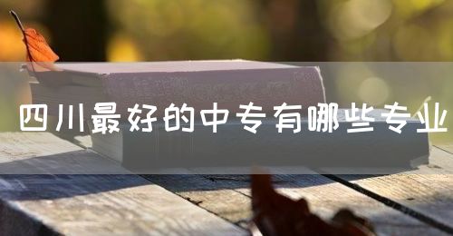 四川最好的中專有哪些專業(yè)？(圖1)
