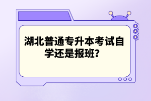 湖北普通專升本考試自學還是報班？