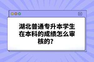 湖北普通專升本學生在本科的成績怎么審核的？