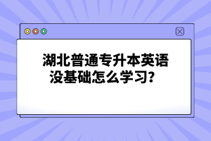 湖北普通專升本英語(yǔ)沒(méi)基礎(chǔ)怎么學(xué)習(xí)？