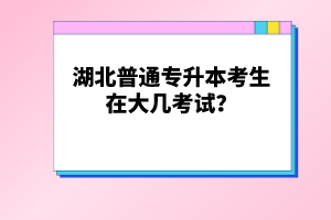 湖北普通專升本考生在大幾考試？