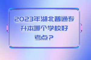 2023年湖北普通專升本哪個學校好考點？