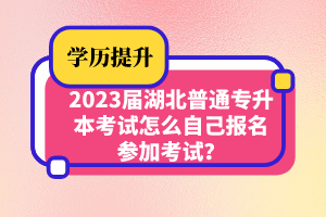 2023屆湖北普通專升本考試怎么自己報(bào)名參加考試？