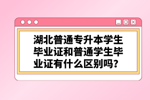 湖北普通專升本學(xué)生畢業(yè)證和普通學(xué)生畢業(yè)證有什么區(qū)別嗎？