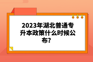 2023年湖北普通專升本政策什么時(shí)候公布？