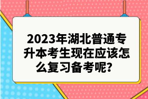 2023年湖北普通專升本考生現(xiàn)在應(yīng)該怎么復(fù)習(xí)備考呢？