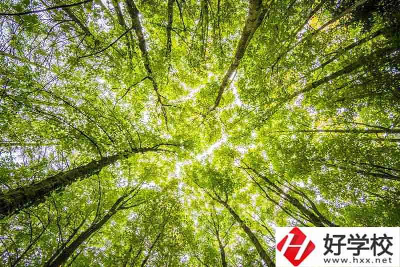 湘西州有哪些公辦中職學(xué)校？