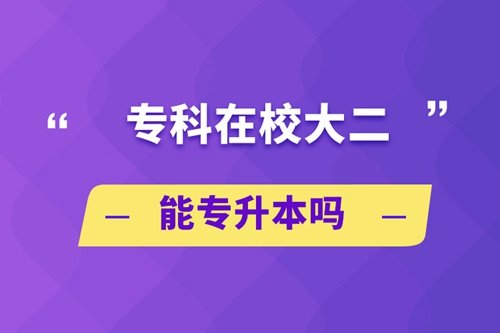 ?？圃谛４蠖軐Ｉ締? /></p><p style=
