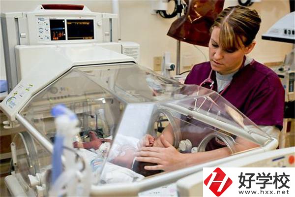 湖南中職學(xué)校開設(shè)最多的專業(yè)有哪些？就業(yè)前景怎么樣？
