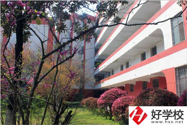 婁底有哪些技校？哪一所比較好？