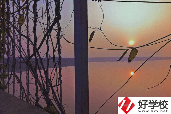 張家界的中職學校學什么專業(yè)好？哪些專業(yè)前景佳？