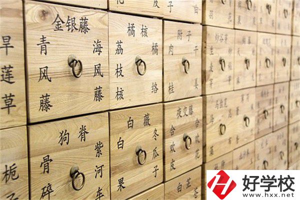 湖南省哪些中職有中藥專業(yè)？