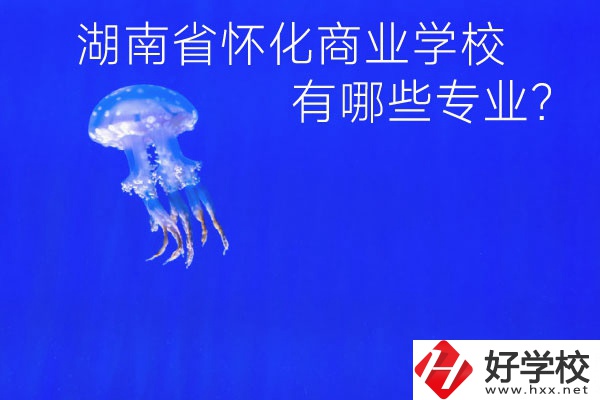 湖南省懷化商業(yè)學(xué)校好不好？有哪些專業(yè)？