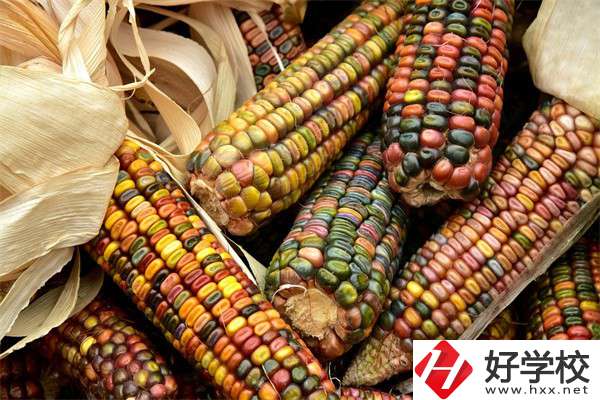 岳陽中職學(xué)校哪些專業(yè)好？有什么學(xué)校推薦？