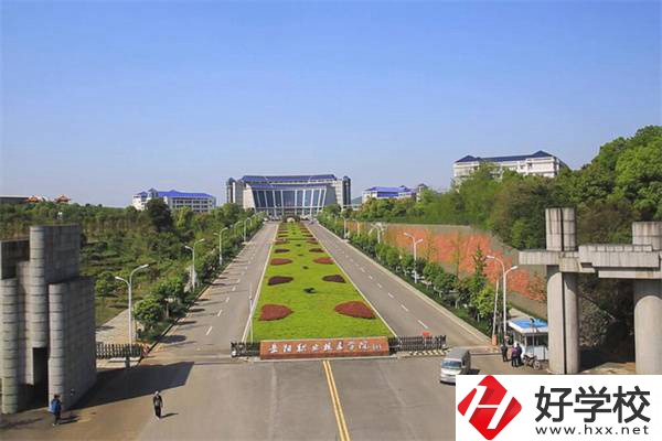 岳陽有哪些招收初中生的公辦大專？招生專業(yè)有哪些？