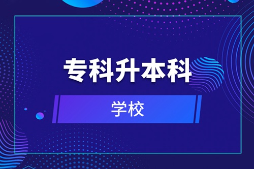 ?？粕究频膶W(xué)校