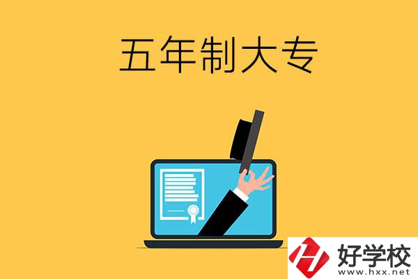 湖南有哪些比較好的五年制大專學(xué)校？看看這4所！