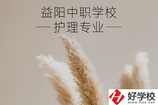 益陽護理專業(yè)的中職學(xué)校有哪些？需要哪些要求？