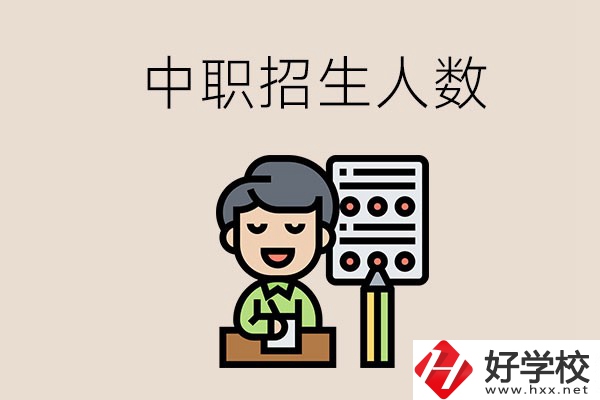 湖南中職學(xué)校每年的招生人數(shù)是多少？