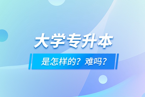大學專升本是怎樣的？難嗎？