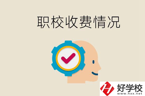 湖南的職校是怎么收費的？民辦學校一年學費要多少？