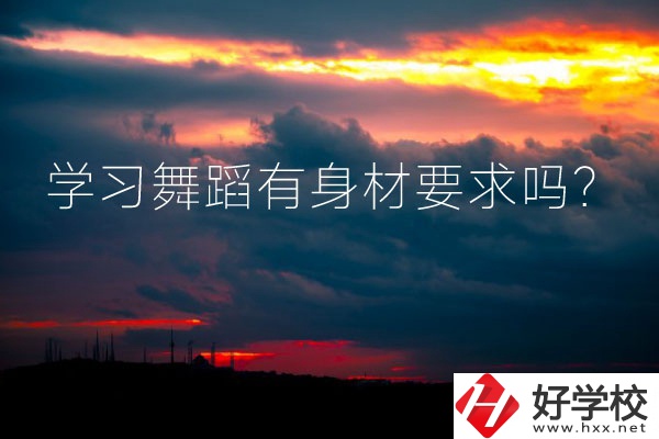 懷化有可以學(xué)習(xí)舞蹈的中專學(xué)校嗎？有身材要求嗎？