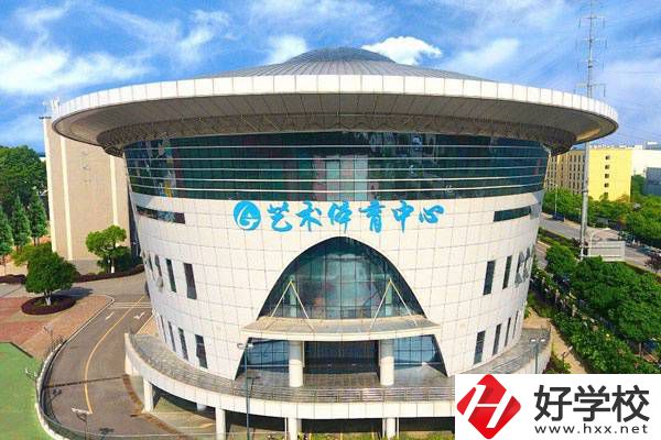 長沙高新技術(shù)工程學校藝體館