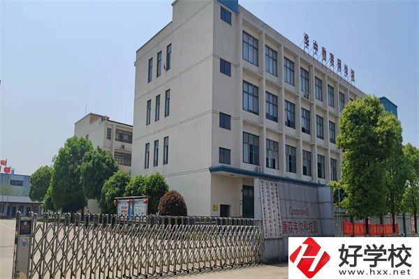 益陽(yáng)有哪些計(jì)算機(jī)職校？專業(yè)就業(yè)前景怎么樣？