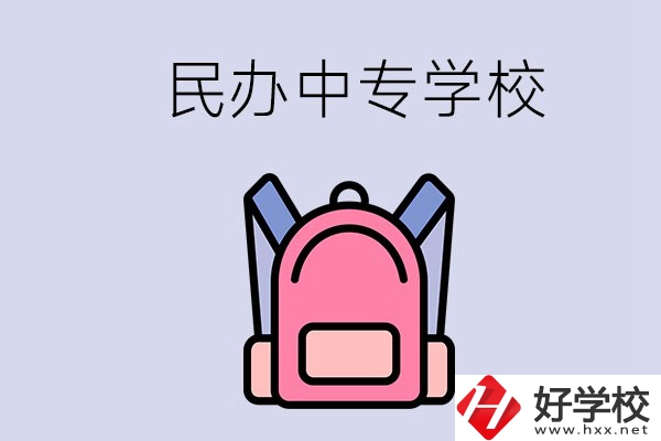 益陽(yáng)的民辦中專學(xué)校有多少所？辦學(xué)怎么樣？