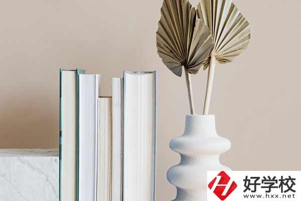 懷化職業(yè)技術(shù)學(xué)院(中職部)好不好，值得選擇嗎？
